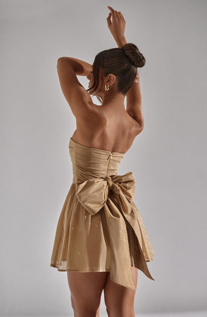 Elegantly Designed Dress