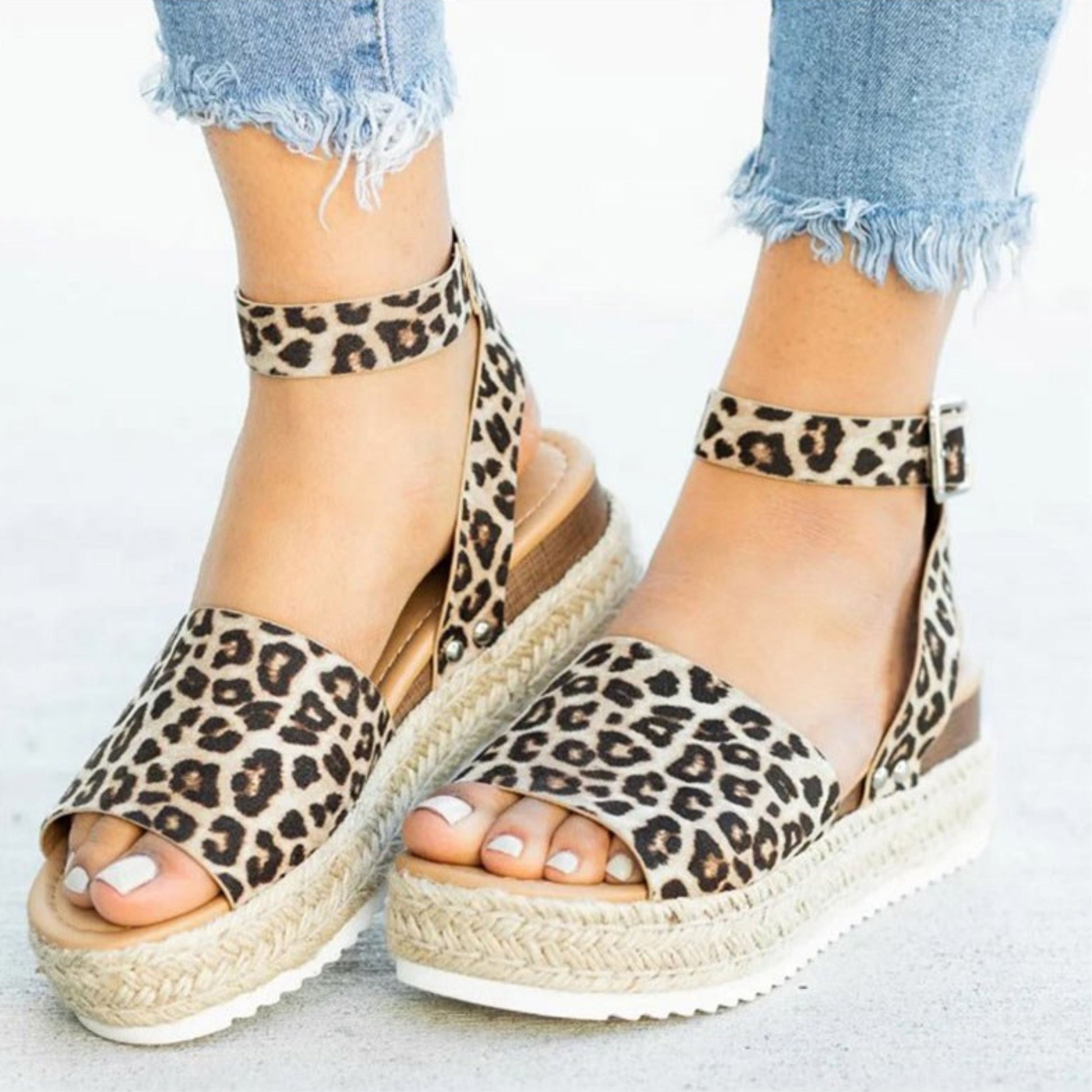 leopard