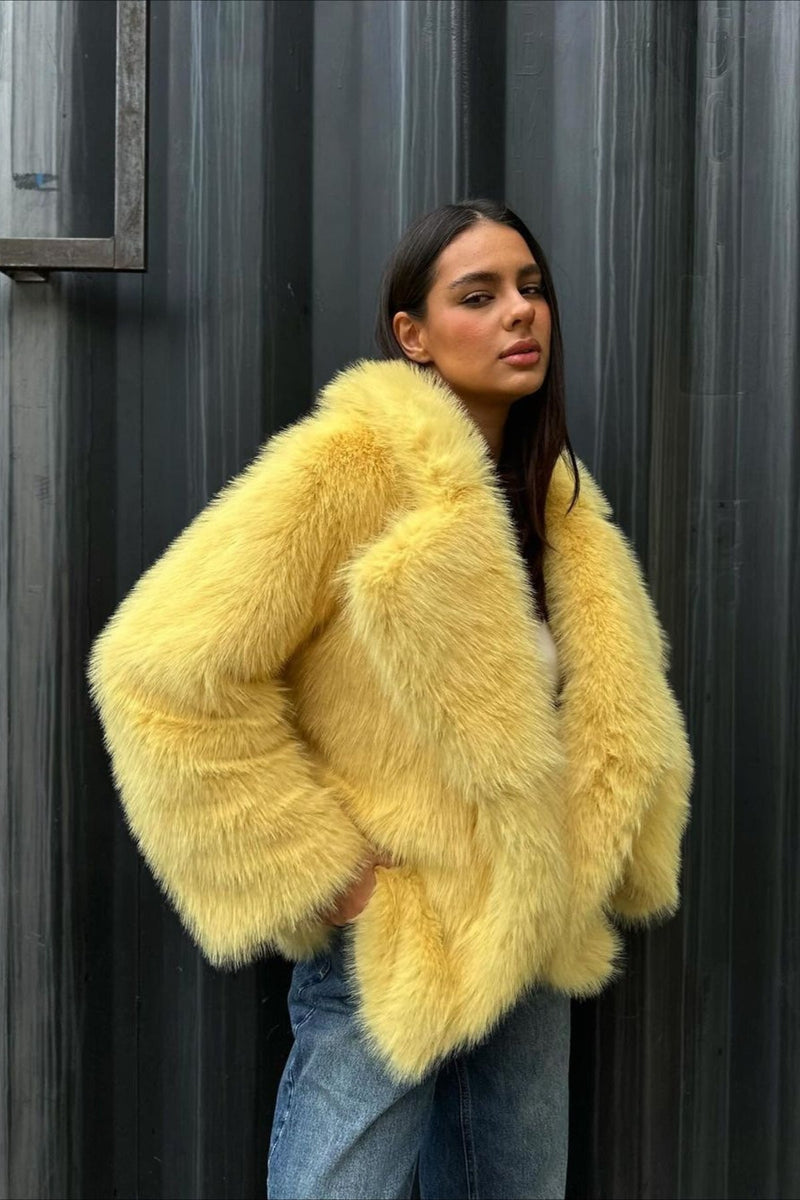 Elegantly Designed Coat