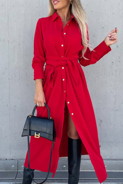 Classic Designed Dress