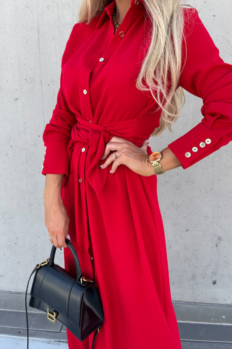 Classic Designed Dress