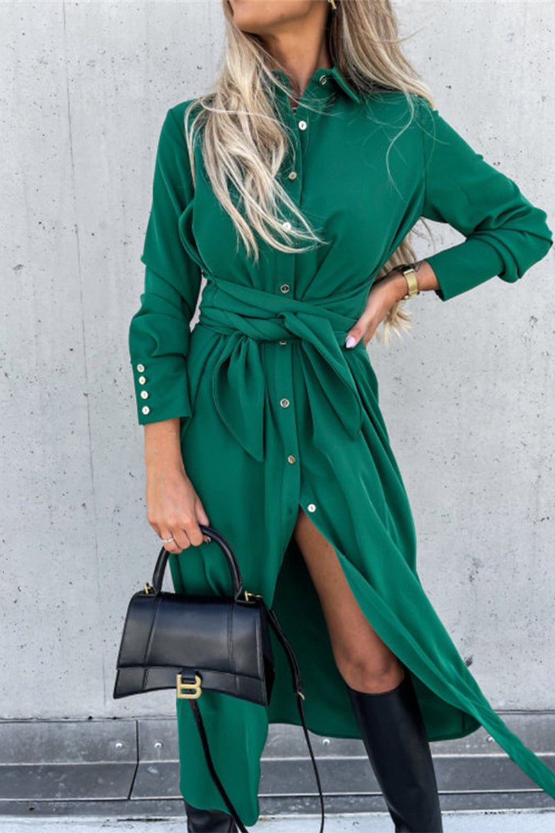 Classic Designed Dress