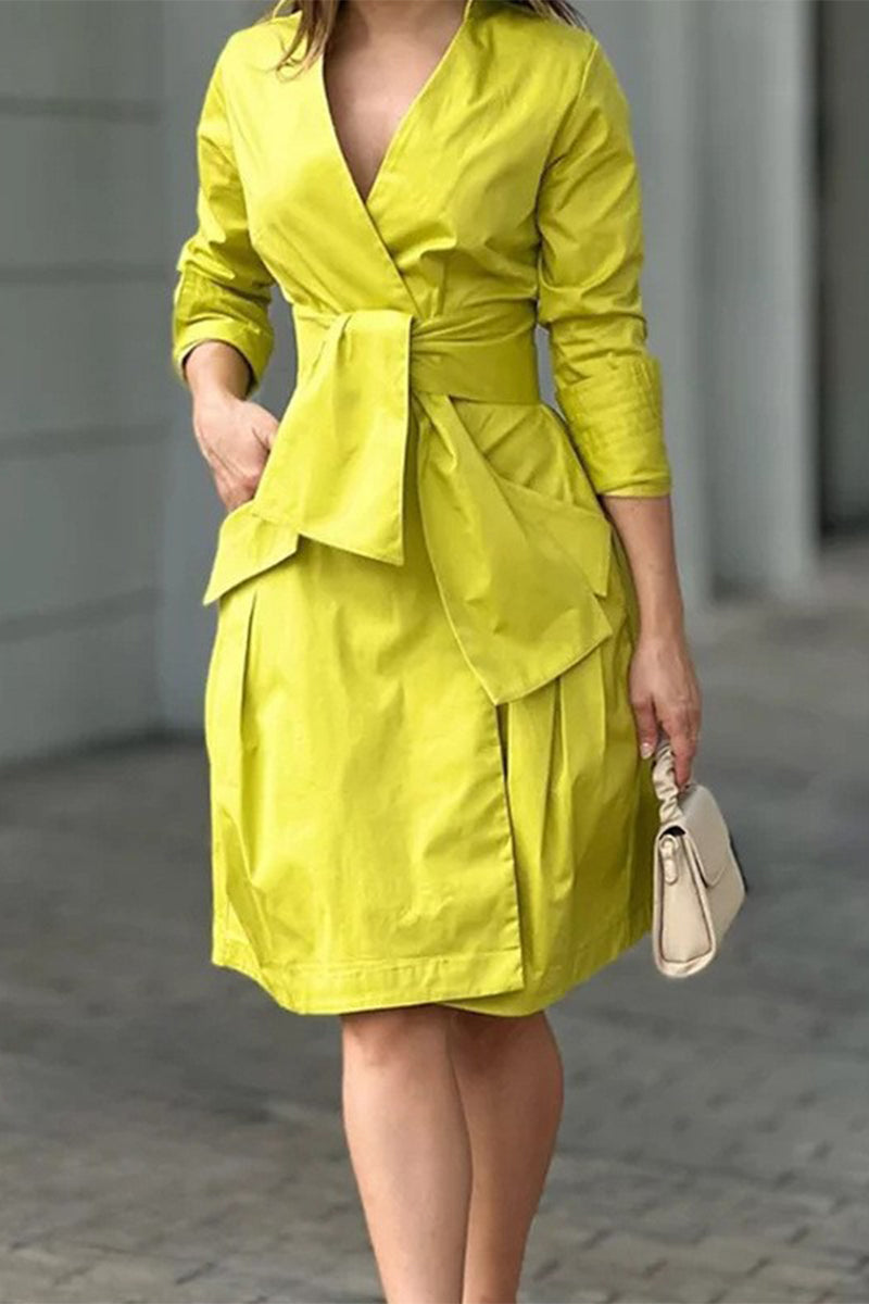 Classic Designed Dress