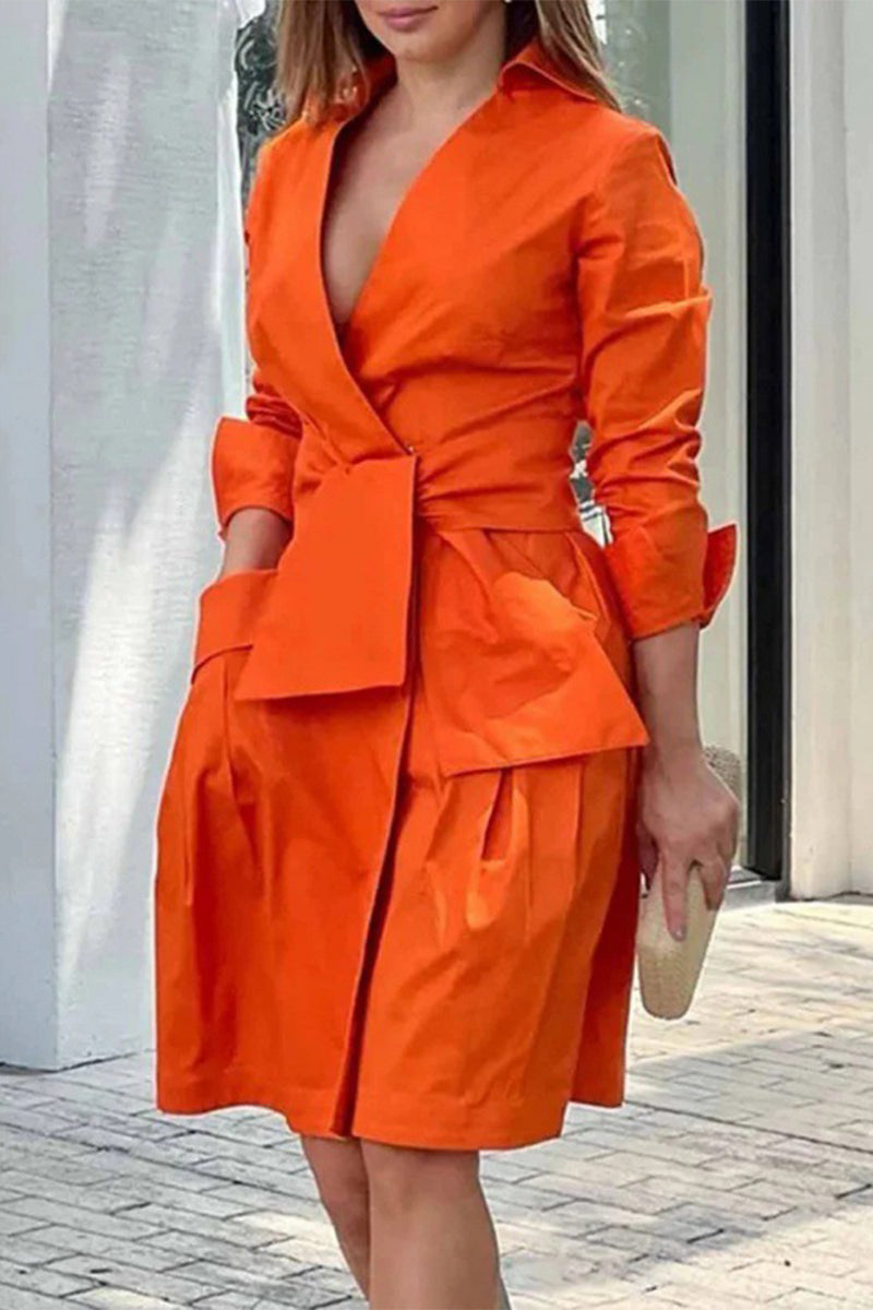Classic Designed Dress