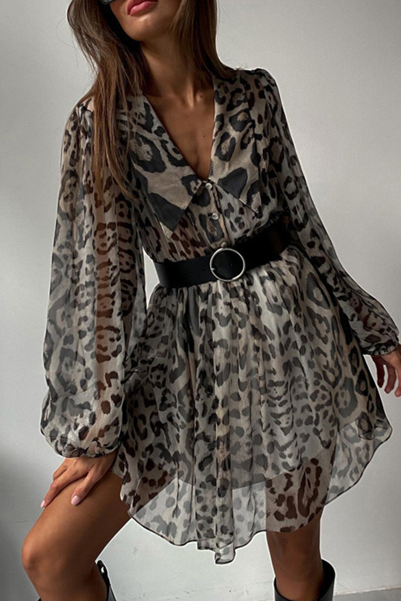 Classic Designed Dress