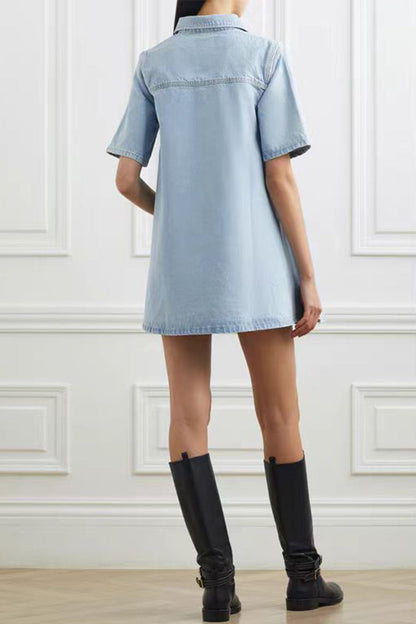 Classic Designed Dress