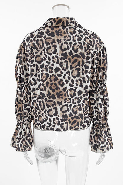Classic Designed Blouse