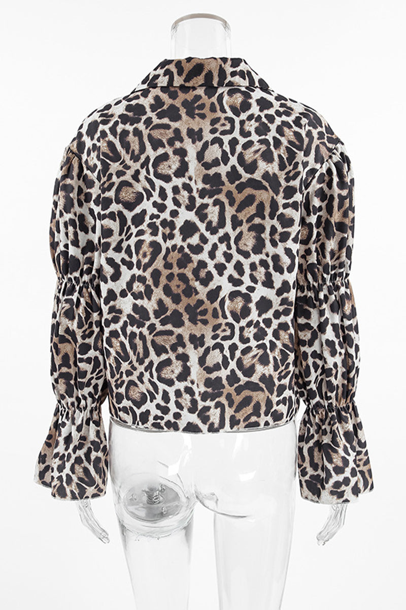 Classic Designed Blouse