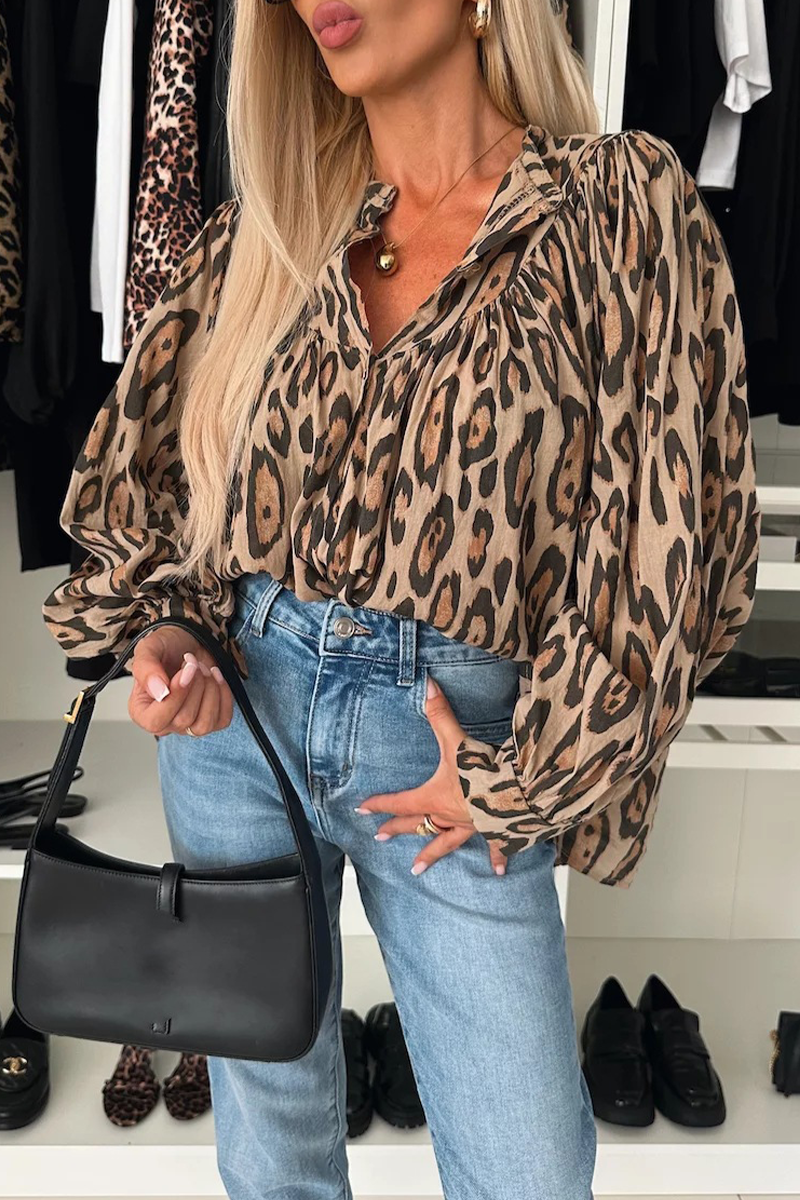 Gracefully Designed Blouse