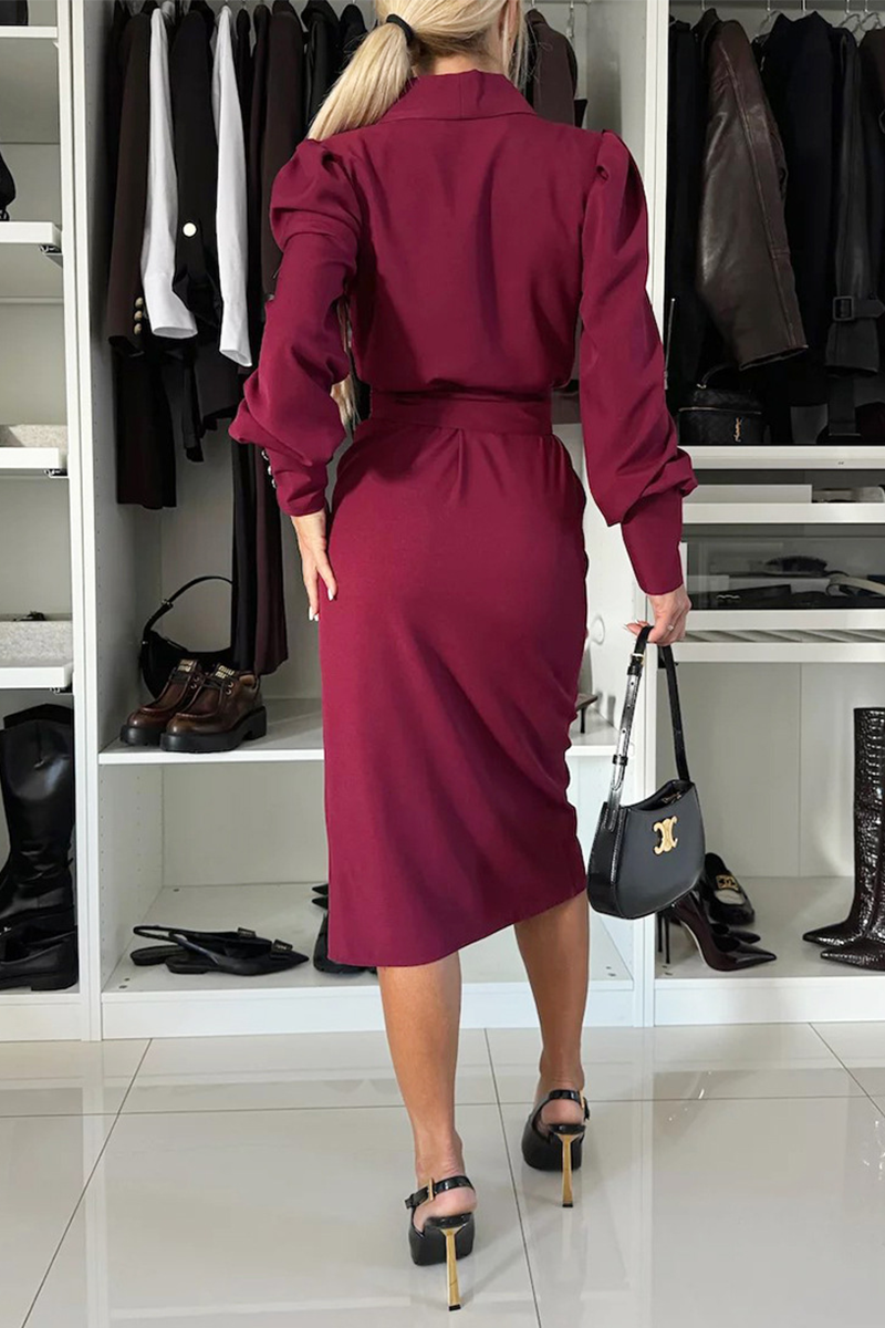 Classic Designed Dress
