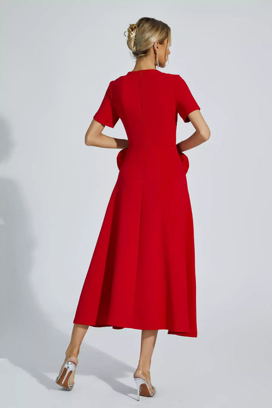 Gracefully Designed Dress