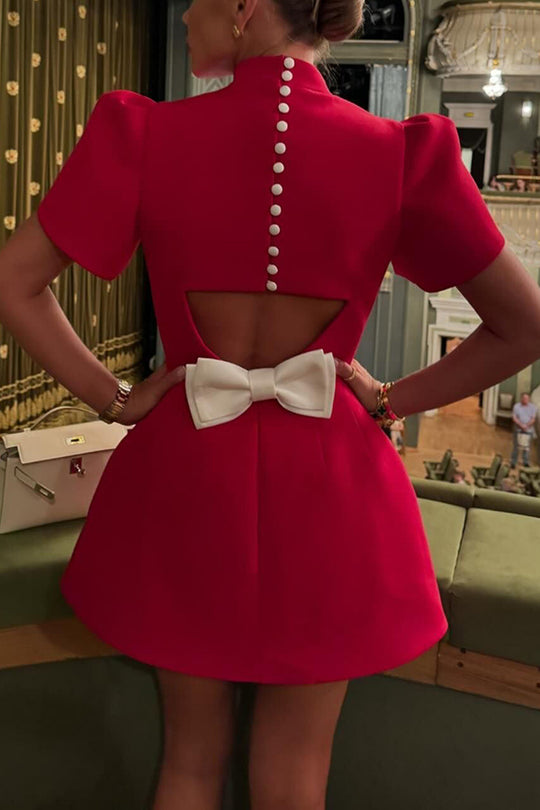 Timeless Vintage Style Dress