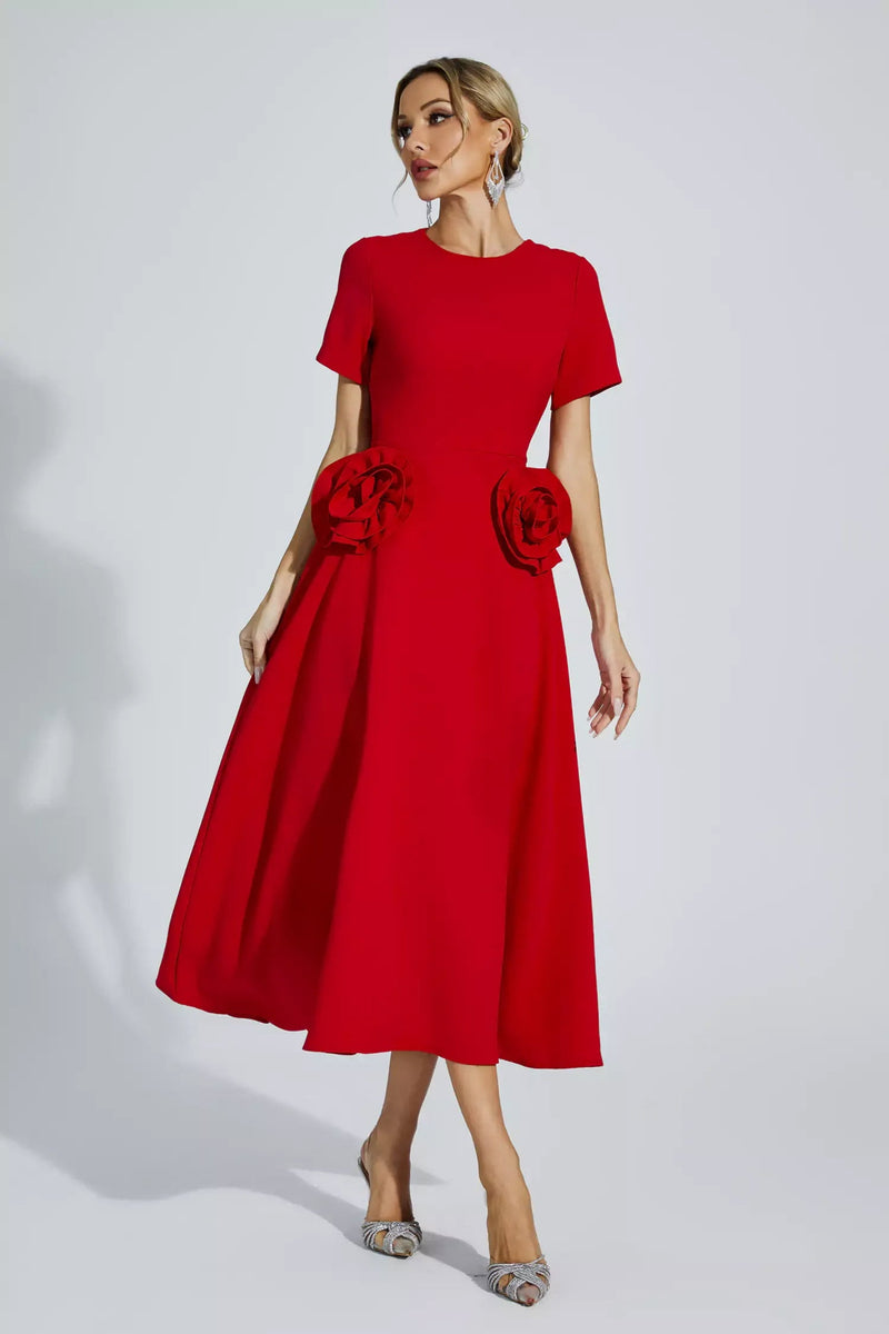 Gracefully Designed Dress