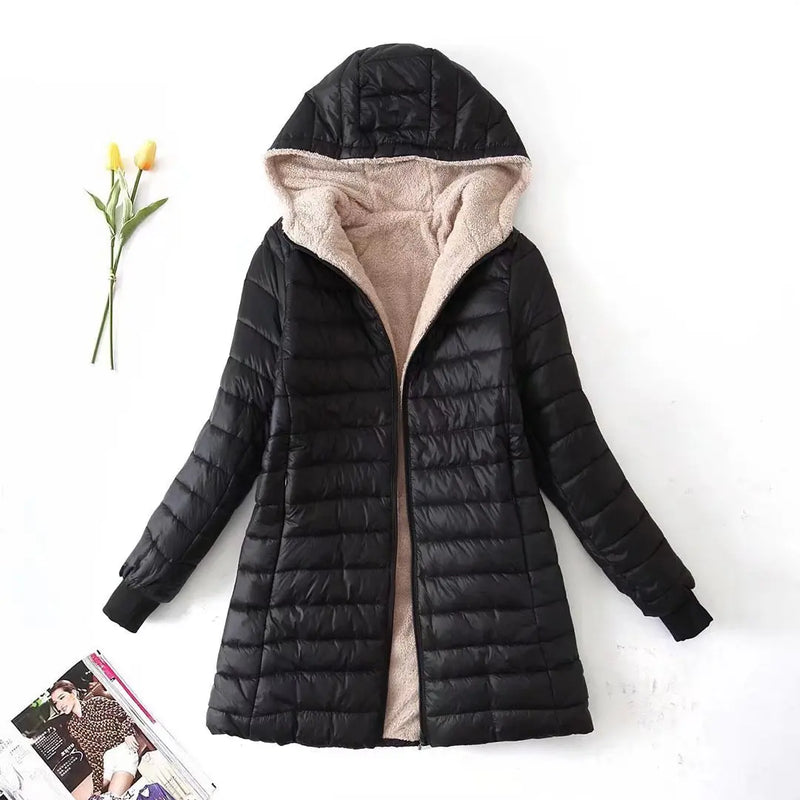 Beautifully Crafted Jacket