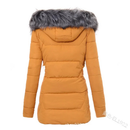 Elegantly Designed Jacket