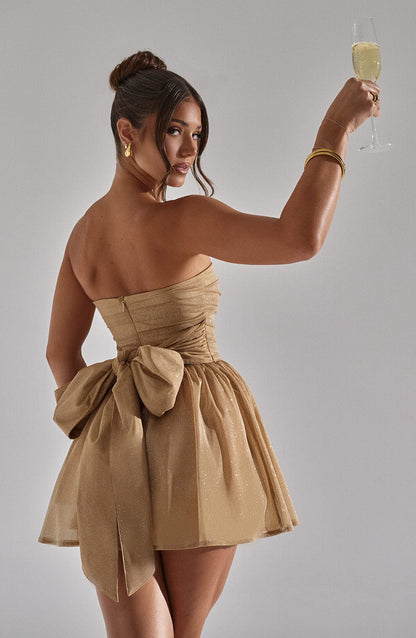 Elegantly Designed Dress