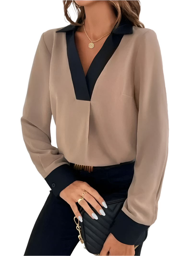 Thoughtfully Designed Blouse