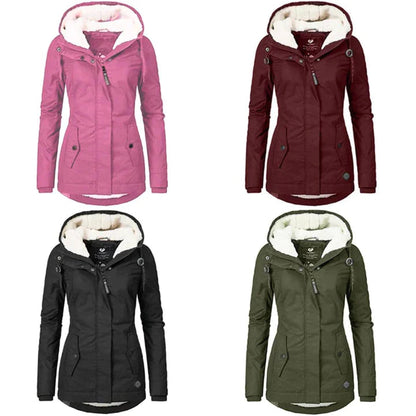Elegantly Designed Garment