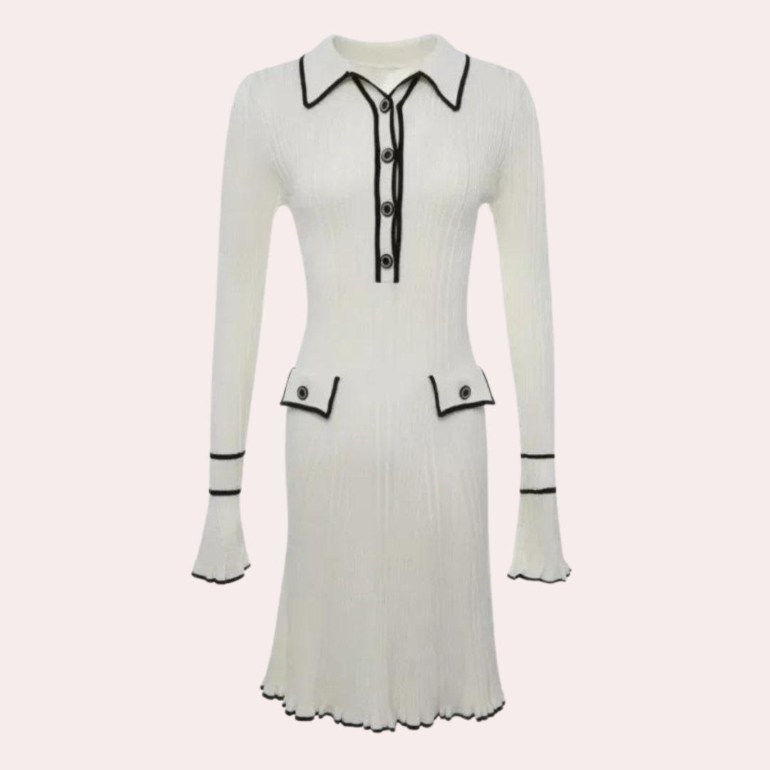 Classic Designed Dress