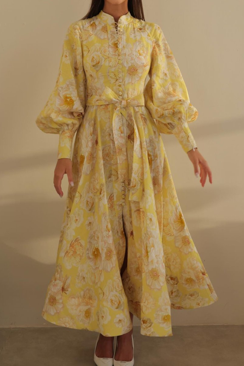Gracefully Designed Dress