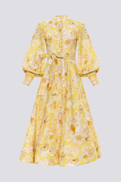 Gracefully Designed Dress