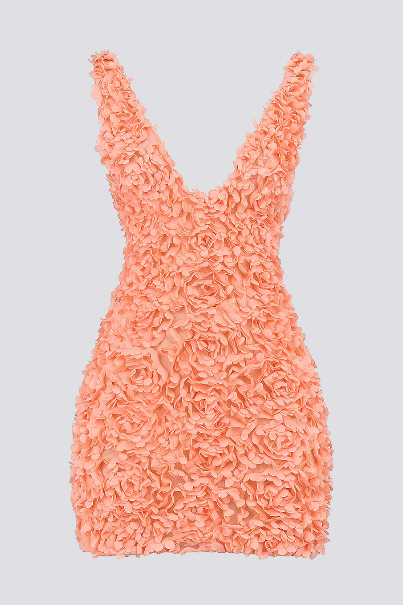 Classic Designed Dress