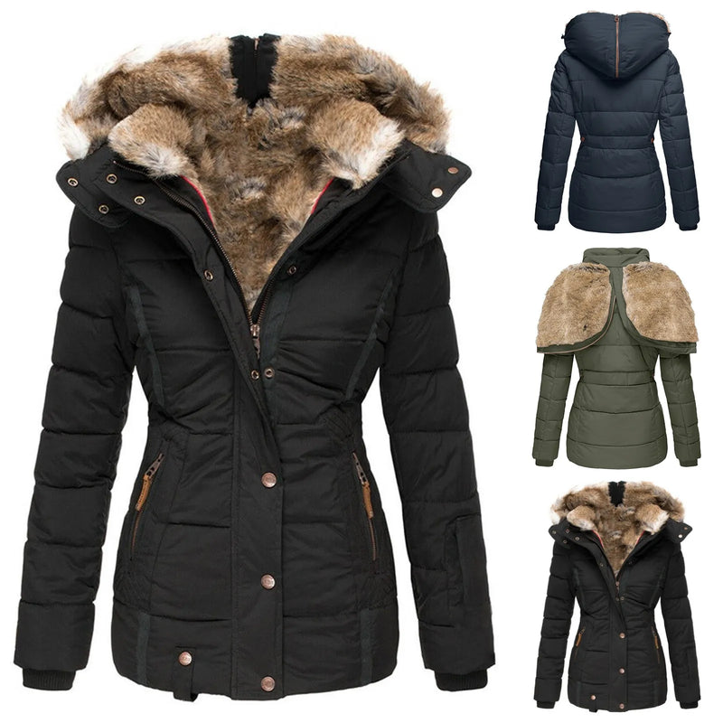 Elegantly Designed Jacket