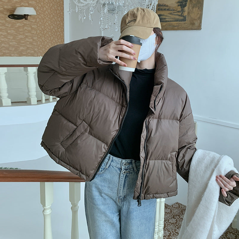 Classic Designed Garment