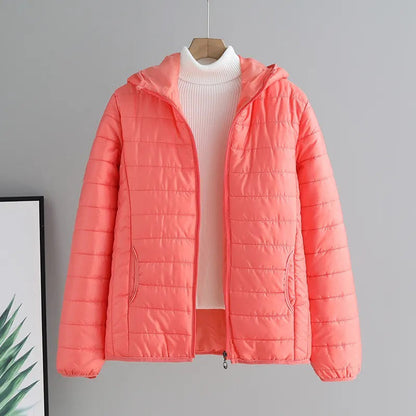 Thoughtfully Designed Garment