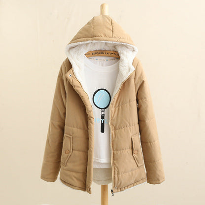 Classic Designed Garment