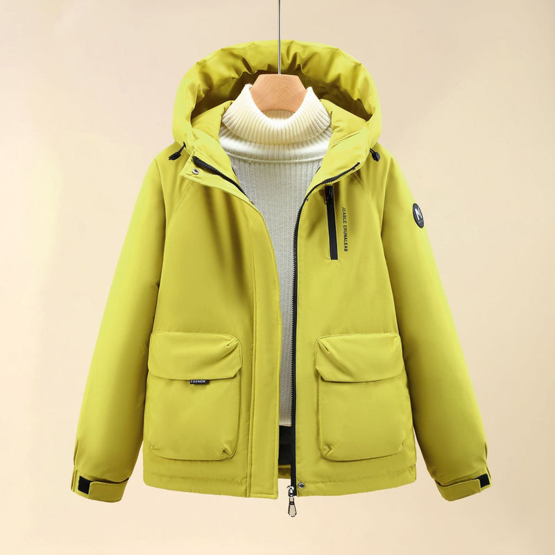 Elegantly Designed Garment