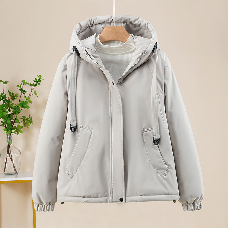 Classic Designed Garment