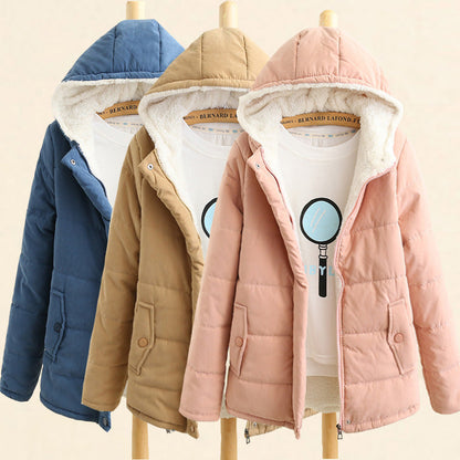 Classic Designed Garment