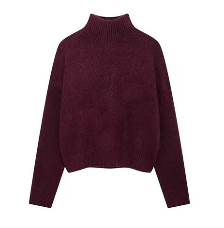 Elegantly Designed Pullover