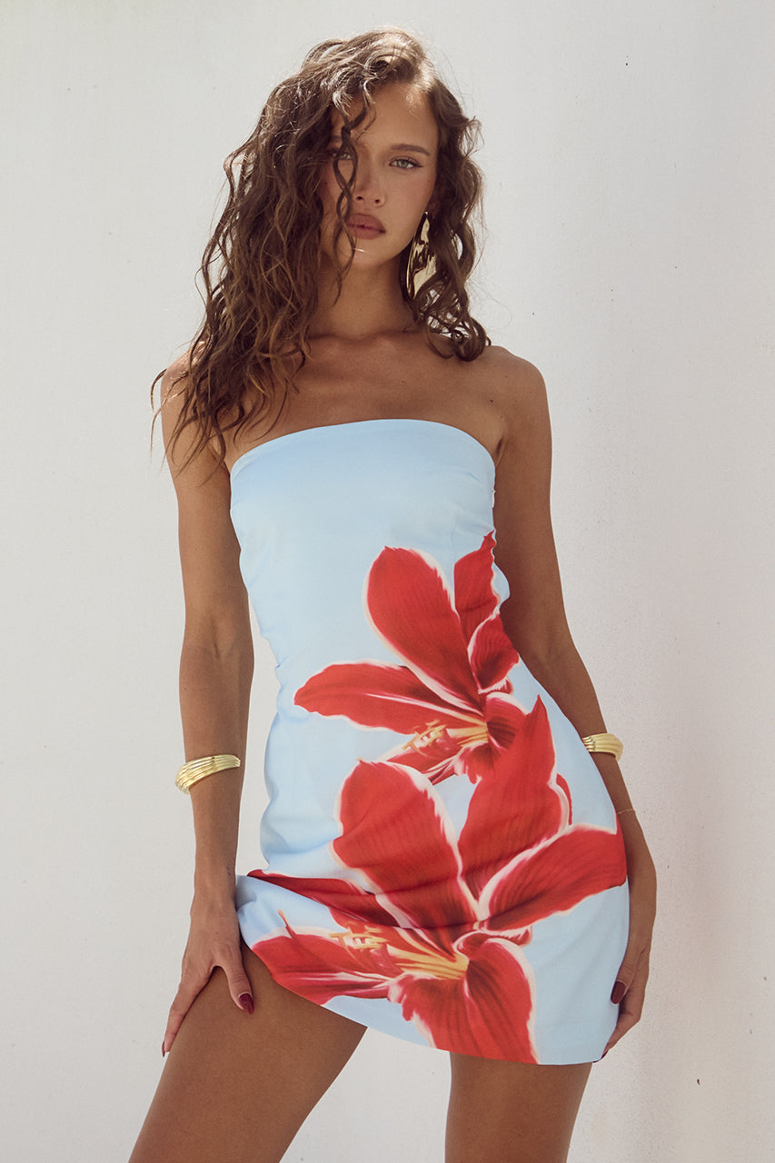 Vintage Inspired Dress
