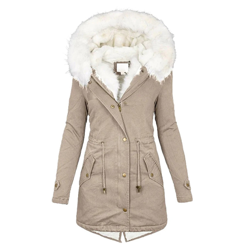 Classic Designed Garment