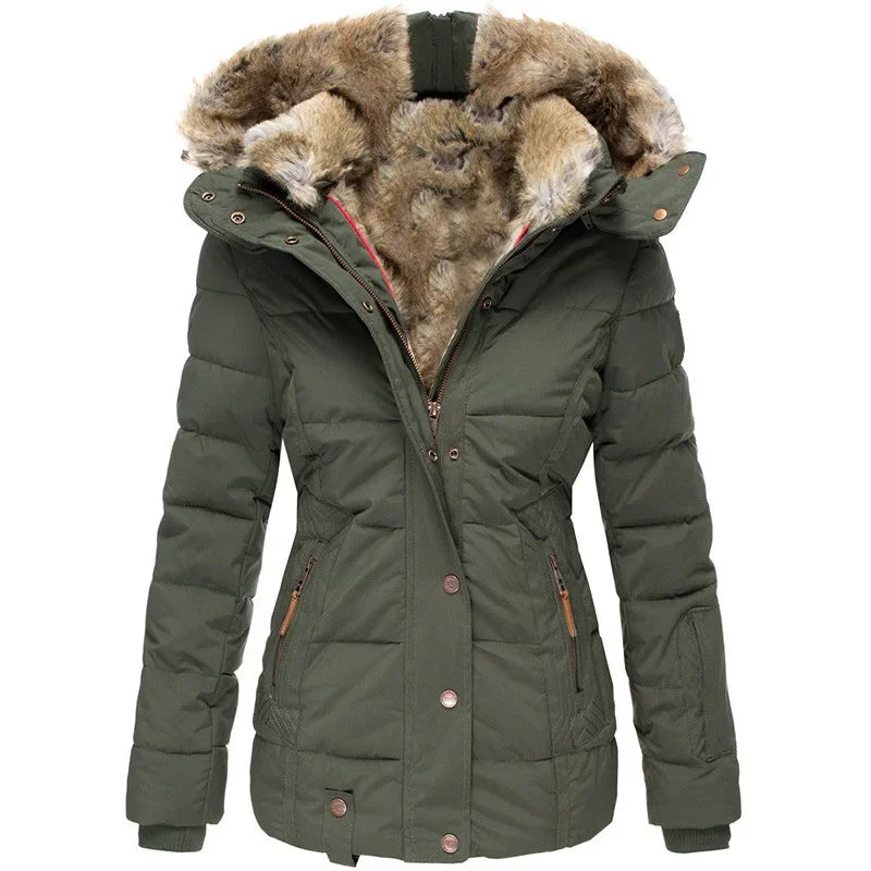 Elegantly Designed Jacket