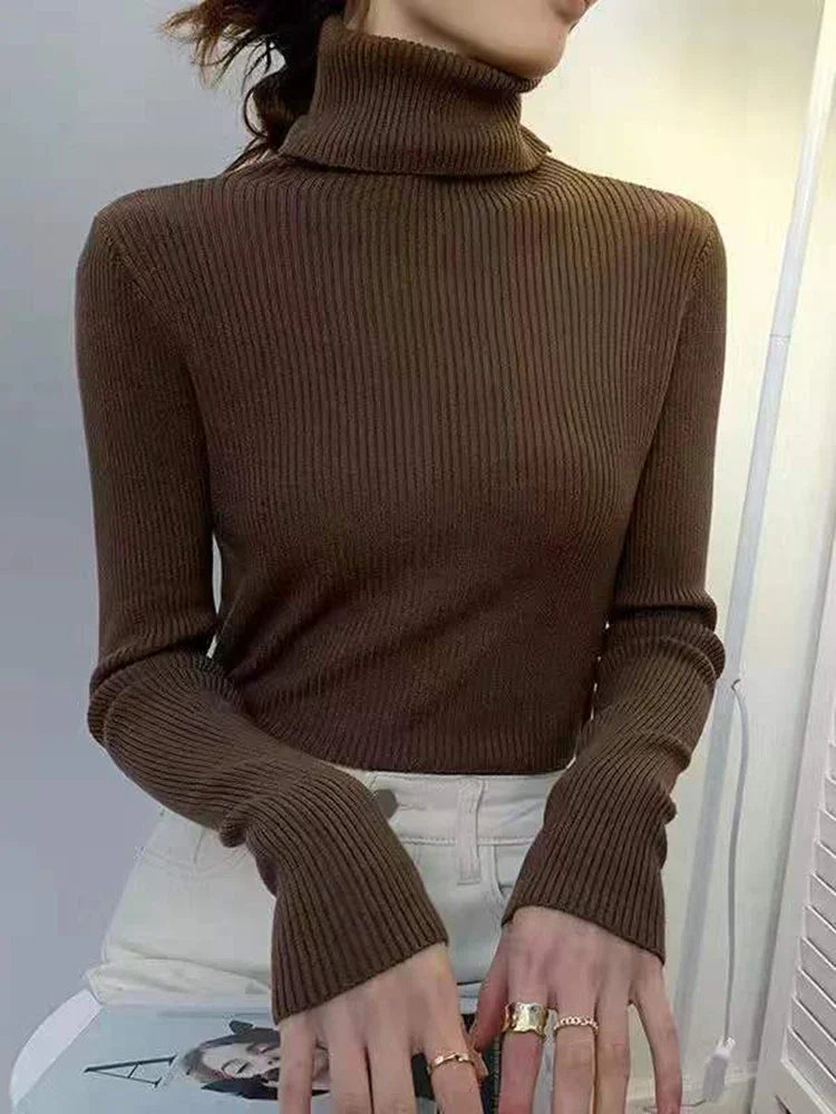 Elegantly Designed Sweater