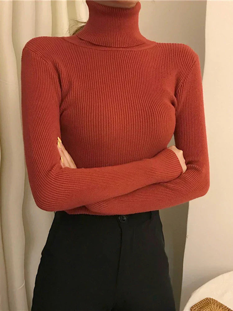 Elegantly Designed Sweater