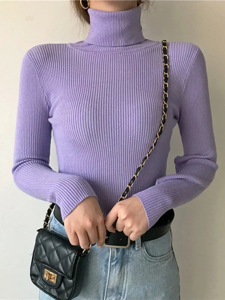 Elegantly Designed Sweater