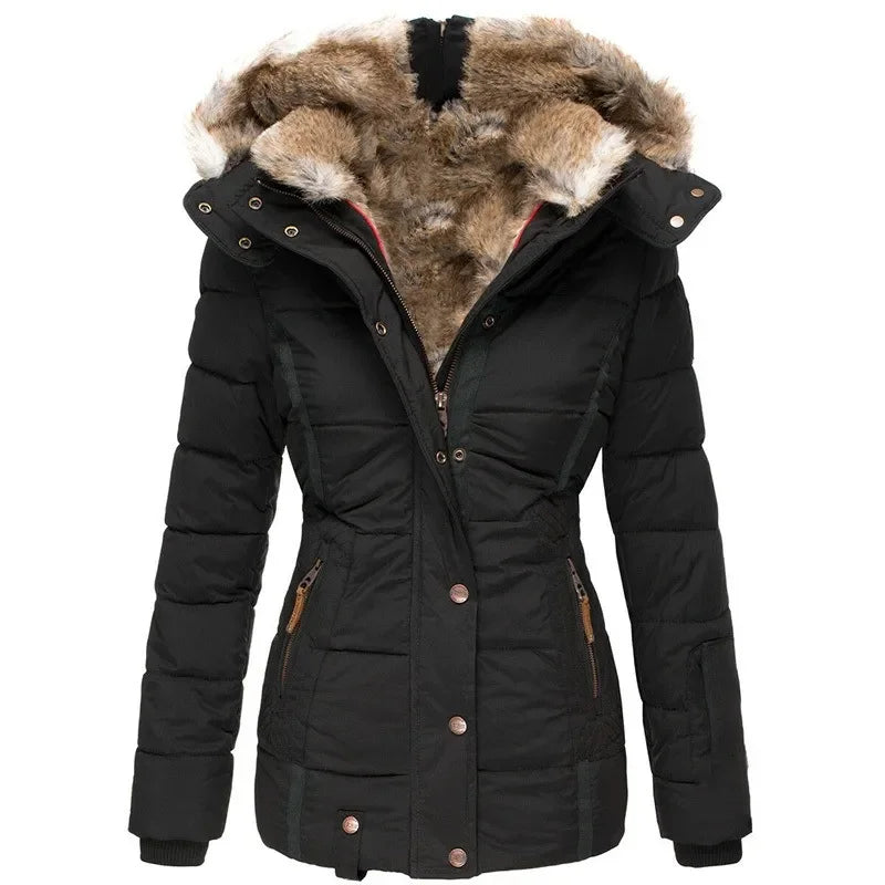 Elegantly Designed Jacket