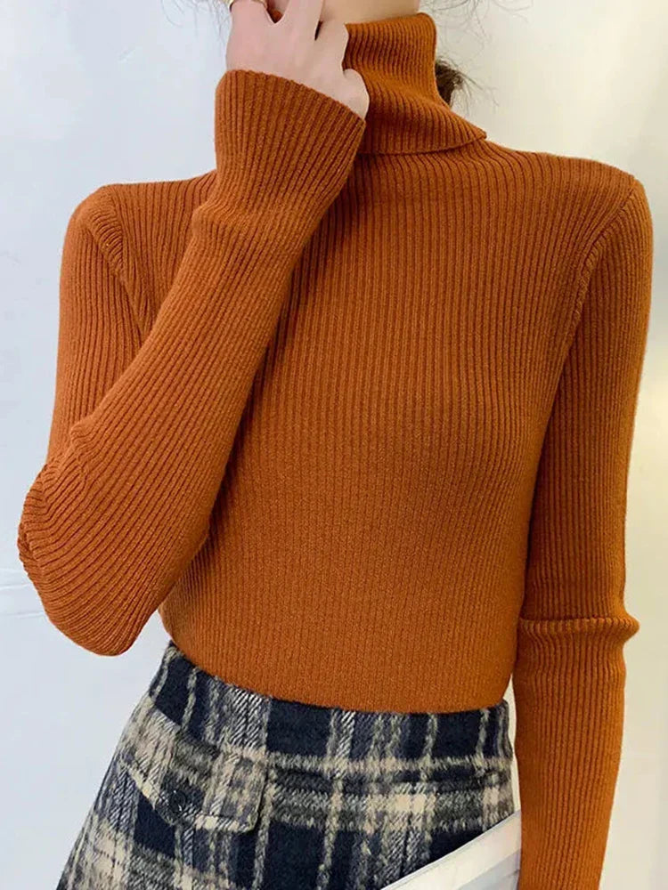 Elegantly Designed Sweater