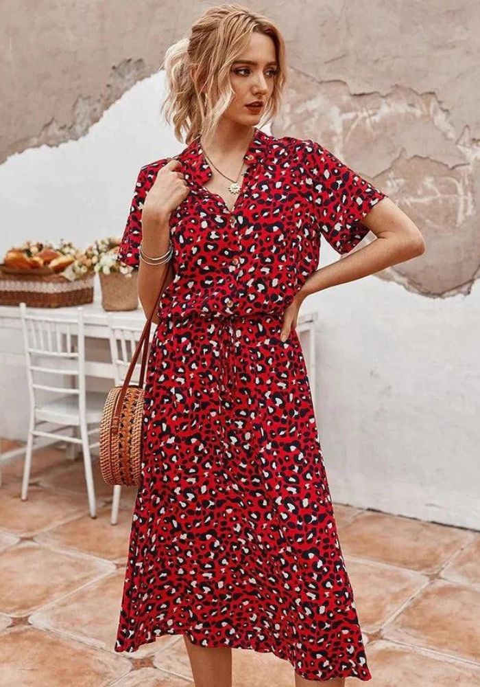 Timeless Vintage Style Dress