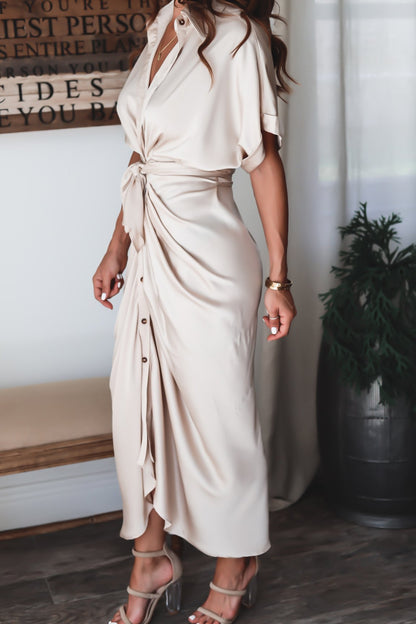 Elegantly Designed Dress