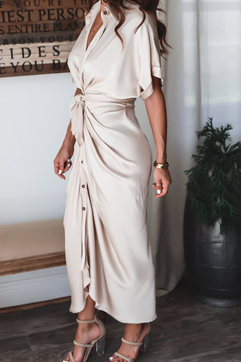 Elegantly Designed Dress