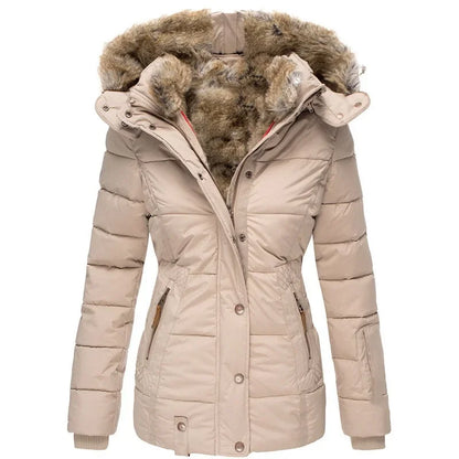 Elegantly Designed Jacket