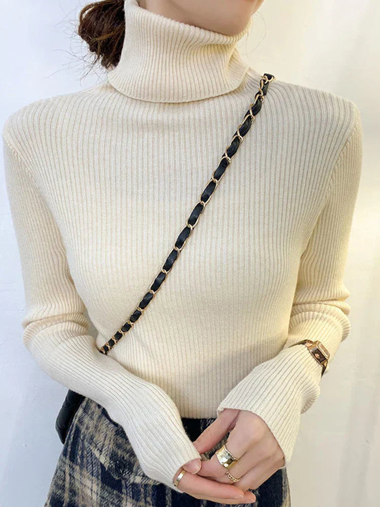 Elegantly Designed Sweater