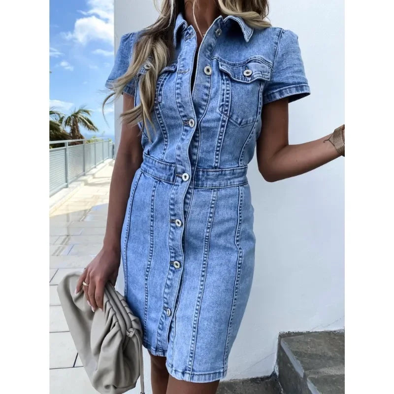 Classic Designed Dress