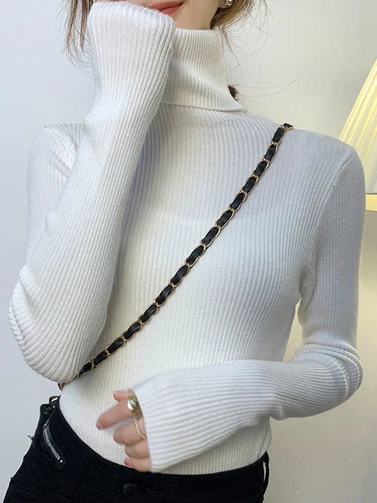 Elegantly Designed Sweater