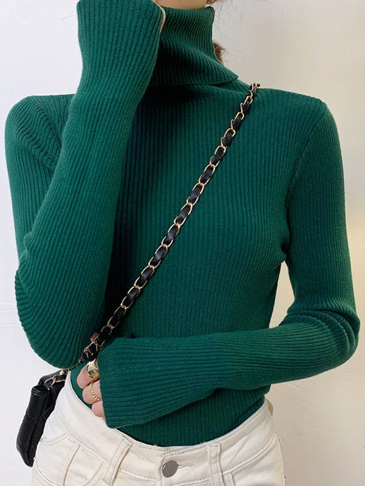Elegantly Designed Sweater